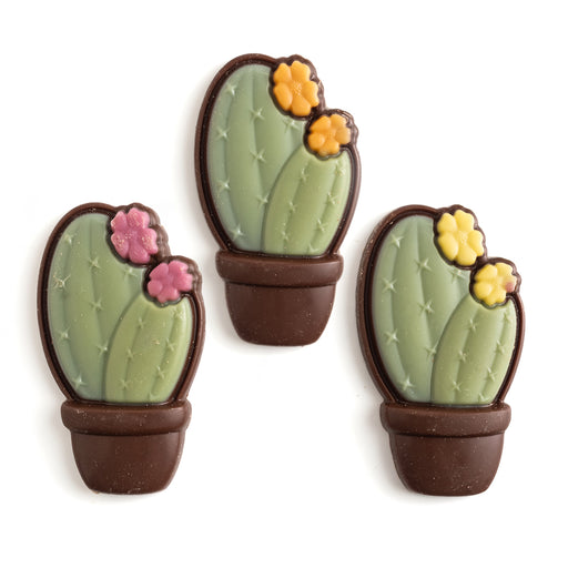 Molded Chocolate Cactus Trio
