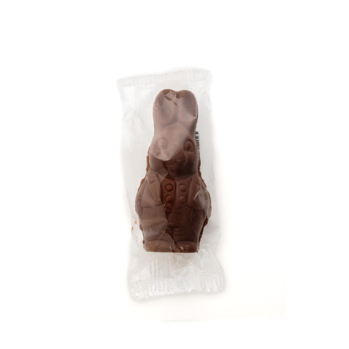 Individually Hollow Molded Easter Bunny