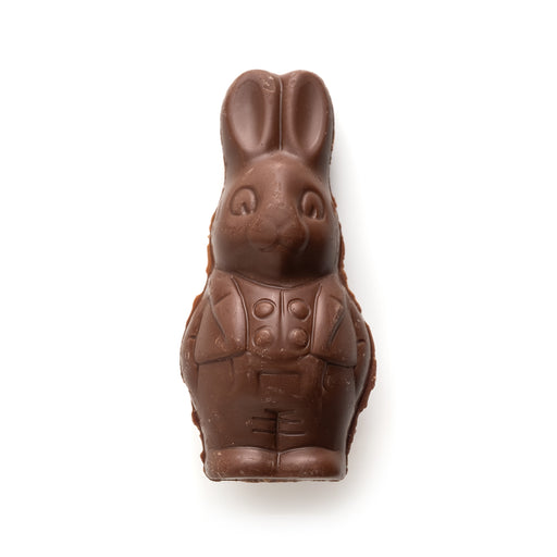 Hollow Molded Easter Bunny