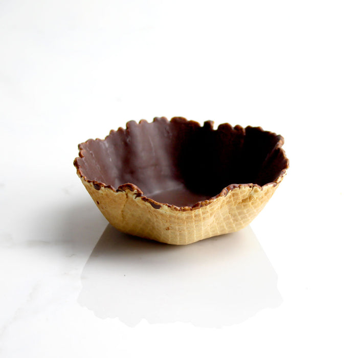 Medium Chocolate Tulip Shell
