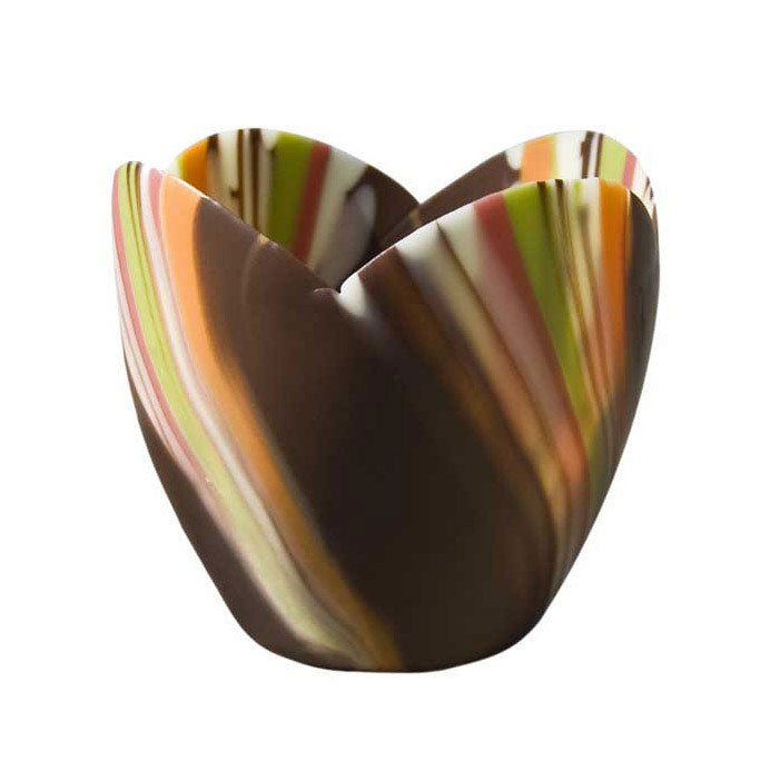 Medium Tulip Cup - Pastel